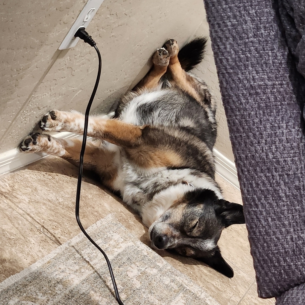 Meet your Posher, Krystle